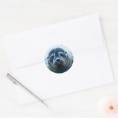 Zeehond Close-up Ronde Sticker (Envelop)