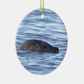 Zeehond Foto Ornament (Rechts)