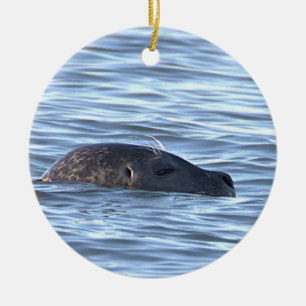 Zeehond Foto Ornament
