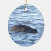 Zeehond Foto Ornament (Links)