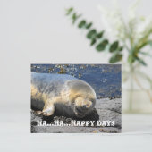 zeehond, Ha... Ha.. Happy Days briefkaart (Staand voorkant)