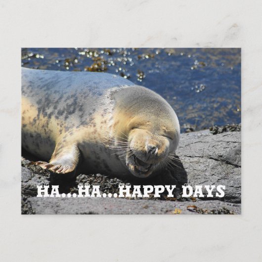 zeehond, Ha... Ha.. Happy Days briefkaart (Voorkant)