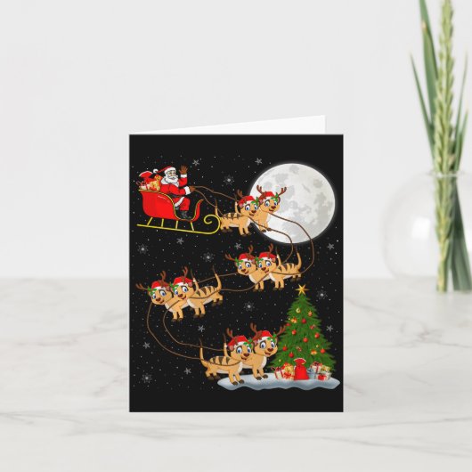 Zeehond Kerstman slee Kerstman Vliegen Grappig Mag Kaart (Voorkant)