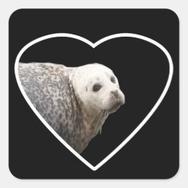 Zeehond Oceaan Wilde Natuur Kunst Vierkante Sticker