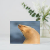 Zeehond op het strand briefkaart (Staand voorkant)