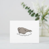 Zeehond op Wolken Briefkaart (Staand voorkant)