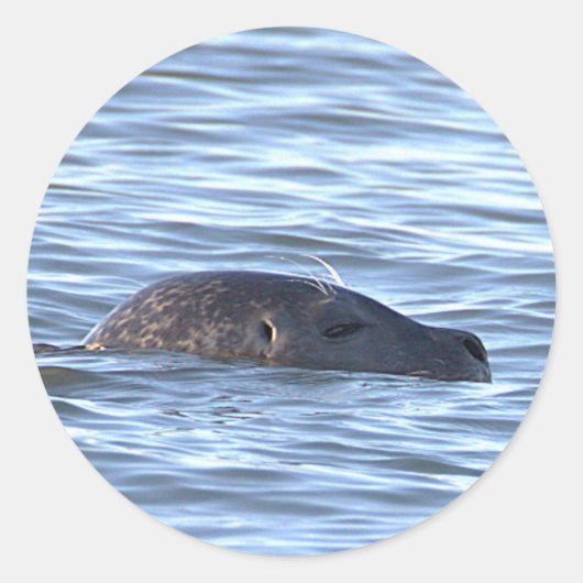 Zeehond zwemt in oceaanstickers ronde sticker (Voorkant)