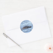 Zeehond zwemt in oceaanstickers ronde sticker (Envelop)