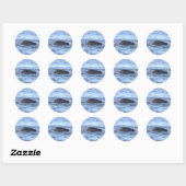 Zeehond zwemt in oceaanstickers ronde sticker (Vel)
