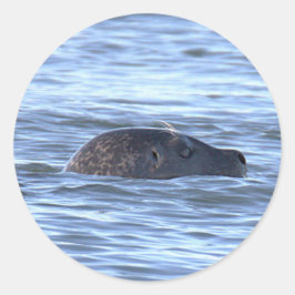 Zeehond zwemt in oceaanstickers ronde sticker