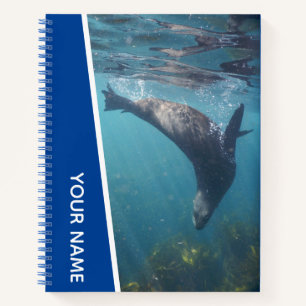 Zeehond Zwemt Onder Water, Australië, Blauw Notitieboek