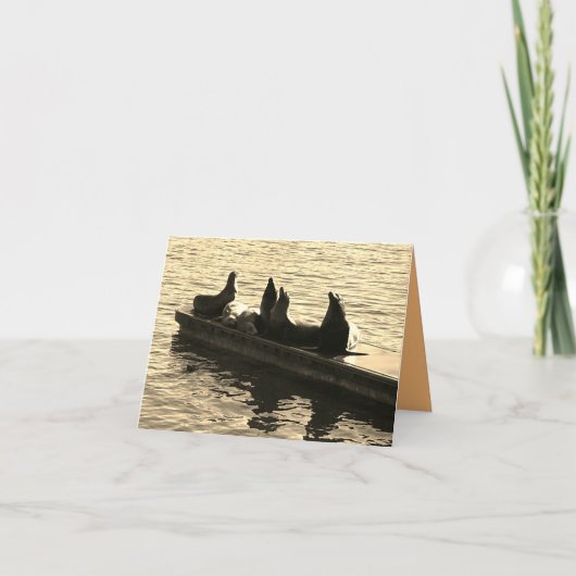 Zeehonden bij de Zee Kaart (Voorkant)