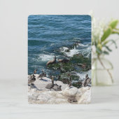 Zeehonden en vogels feestdagenkaart (Staand voorkant)