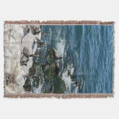 Zeehonden en vogels gooien deken (Voorkant)