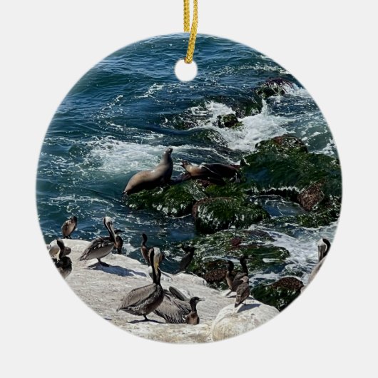 Zeehonden en Vogels Keramisch Ornament (Voorkant)