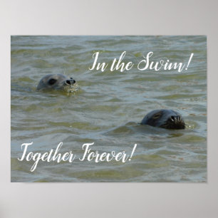 Zeehonden in het zwemmen poster