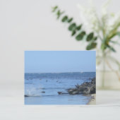 Zeehonden op het strand briefkaart (Staand voorkant)