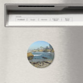 Zeehonden op zand in La Jolla Cove Magneet (Insitu (Vaatwasser))