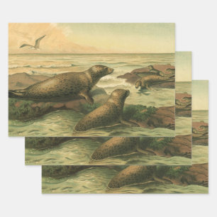Zeehonden, Oude Aquatische Dieren Marien Leven Inpakpapier Vel
