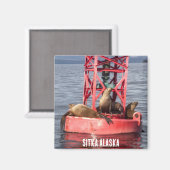 Zeehonden - Sitka Alaska Magnet (Voorkant / Achterkant)