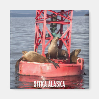 Zeehonden - Sitka Alaska Magnet