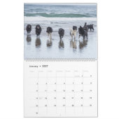 Zeehonden van Notta Bear Kalender (Jan 2027)