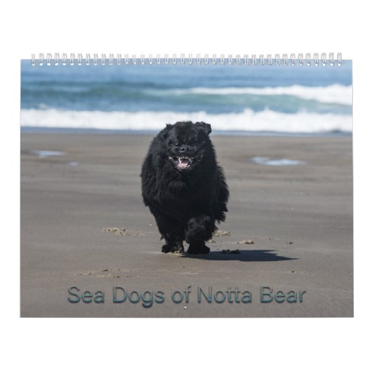 Zeehonden van Notta Bear Kalender (Hoes)