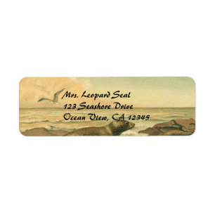 Zeehonden, Vintage Aquatische Dieren Marien Leven Etiket