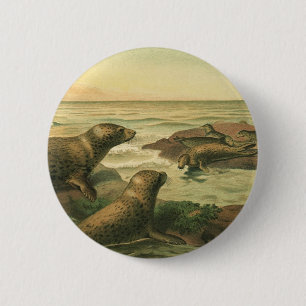 Zeehonden, Vintage Aquatische Dieren Marien Leven Ronde Button 5,7 Cm