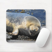 zeehondenlacht, schattige kronkelzegel, schattige  muismat (Met muis)