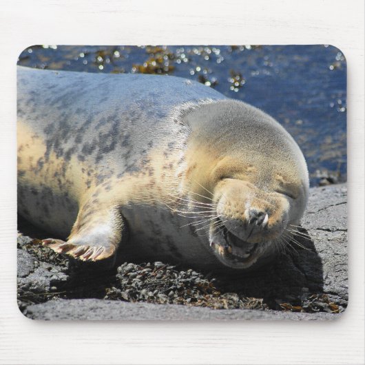 zeehondenlacht, schattige kronkelzegel, schattige  muismat (Voorkant)