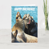 zeehondenlieren Foto van de hele dag Kaart (Voorkant)