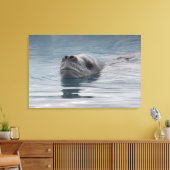 zeehondenluipaard die zwemt canvas afdruk (Insitu (Woonkamer))
