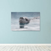 zeehondenluipaard die zwemt canvas afdruk (Insitu (Houten vloer))