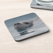 zeehondenluipaard die zwemt onderzetter (Linkerzijde)