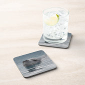 zeehondenluipaard die zwemt onderzetter (Rechterzijde)