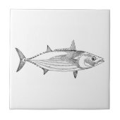 zeehondenvis - gestreepte tonijn tegeltje (Voorkant)