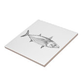  zeehondenvis - gestreepte tonijn tegeltje (Zijkant)