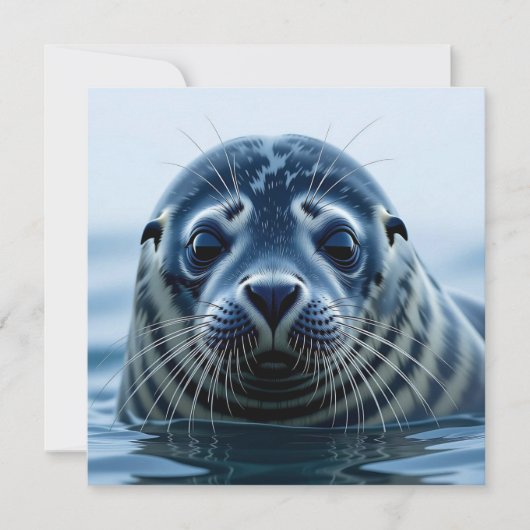 Zeehondje Close-up (Voorkant)
