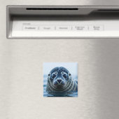 Zeehondje Close-up Magneet (Insitu (Vaatwasser))