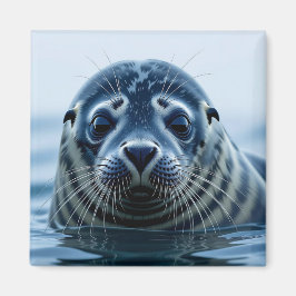 Zeehondje Close-up Magneet
