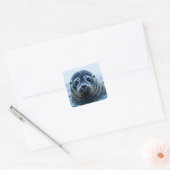 Zeehondje Close-up Vierkante Sticker (Envelop)