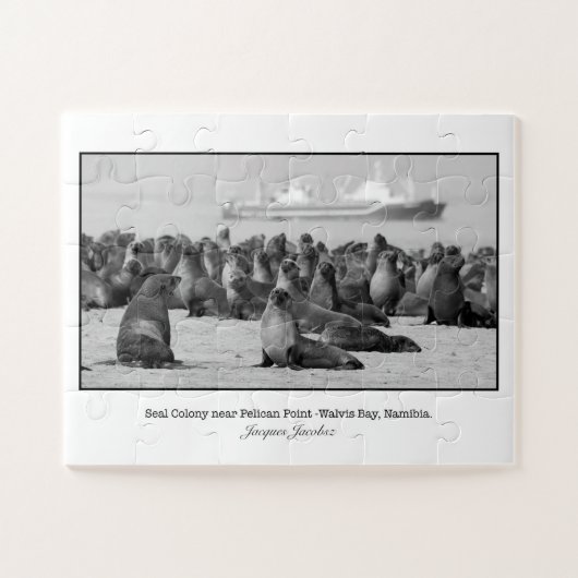 Zeehondkolonie bij Pelican Point Legpuzzel (Horizontaal)
