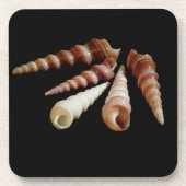 Zeehoorns Onderzetter (Voorkant)