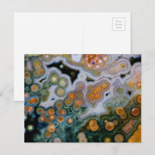 Zeejasper Briefkaart (Voorkant / Achterkant)