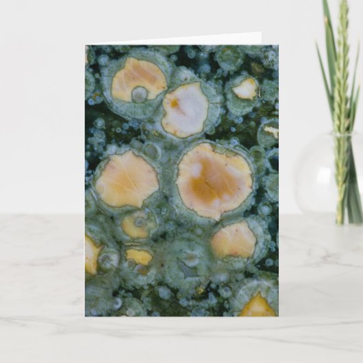 Zeejasper Kaart (Voorkant)