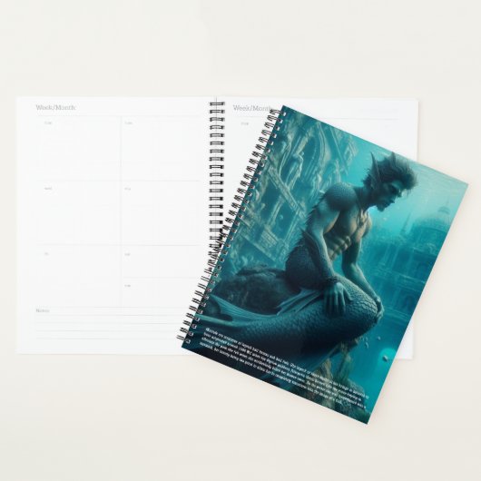 Zeekalender Planner (Display)