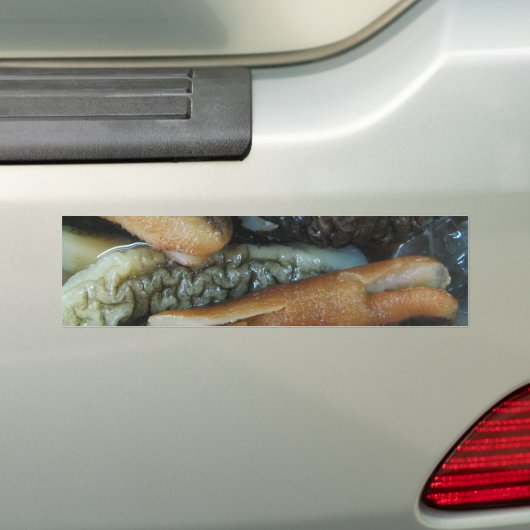 Zeekomkommer ... Yaowarat Markt Eten Bumpersticker (Op auto)