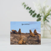 Zeeleeuw ansichtkaart briefkaart (Staand voorkant)