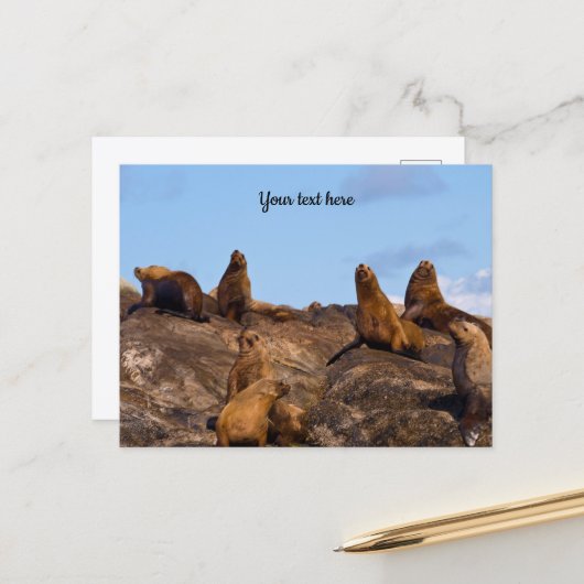 Zeeleeuw ansichtkaart briefkaart (Voorkant / Achterkant in situ)